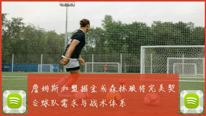 詹姆斯加盟掘金或森林狼将完美契合球队需求与战术体系