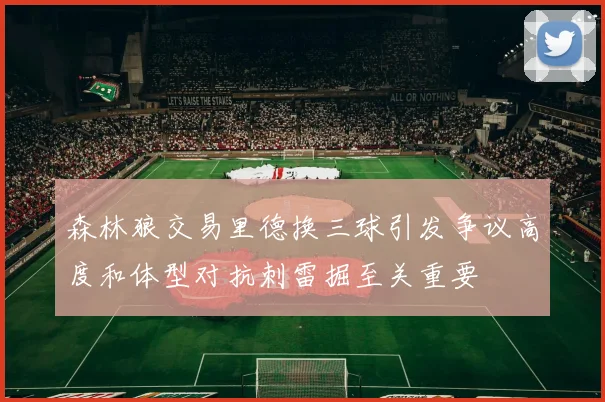森林狼交易里德换三球引发争议高度和体型对抗刺雷掘至关重要